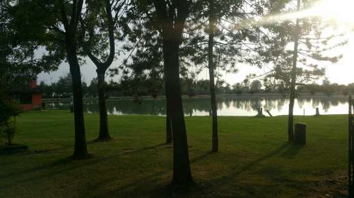 Added a photo to a location