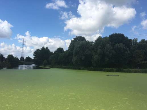 Een foto toegevoegd aan een locatie