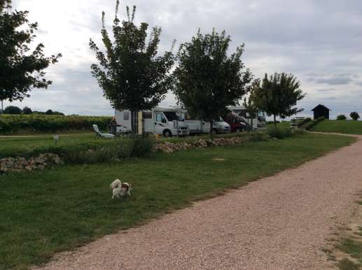 Een foto toegevoegd aan een locatie
