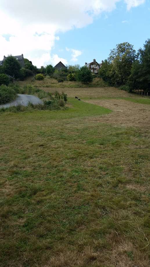 Een foto toegevoegd aan een locatie