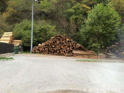 Added a photo to a location