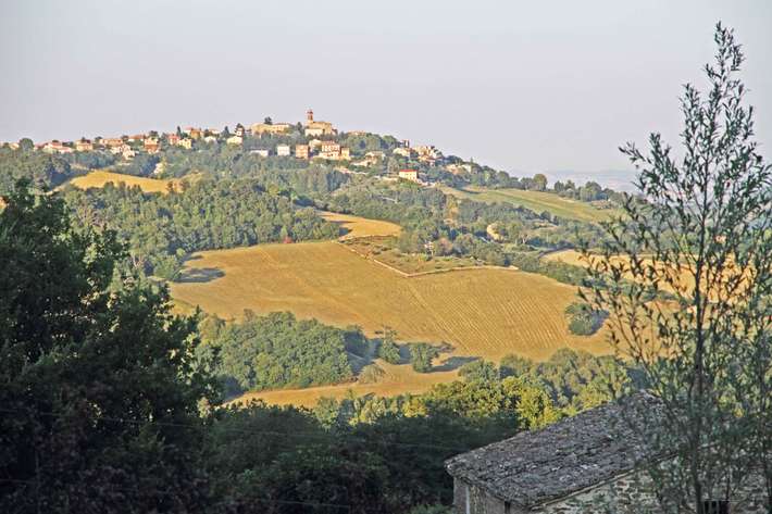 Area Comunale