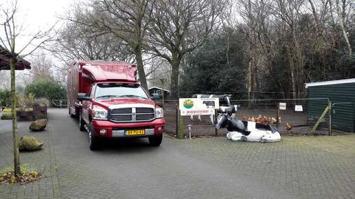 Een foto toegevoegd aan een locatie