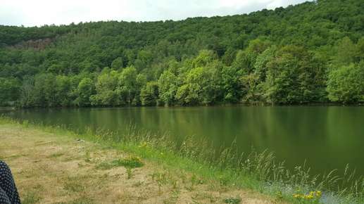 Added a photo to a location