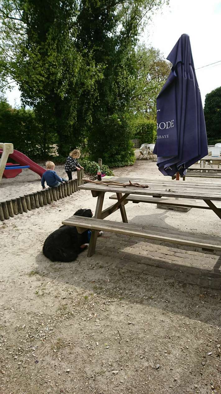 Taverne Herberg Mie Maan