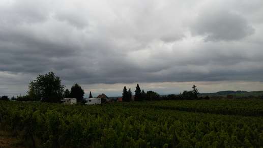 Added a photo to a location