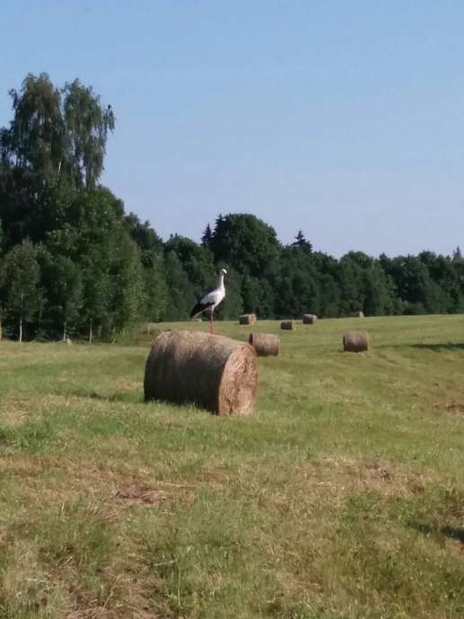 Added a photo to a location