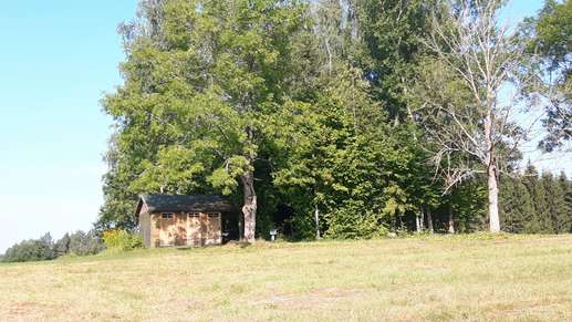 Added a photo to a location