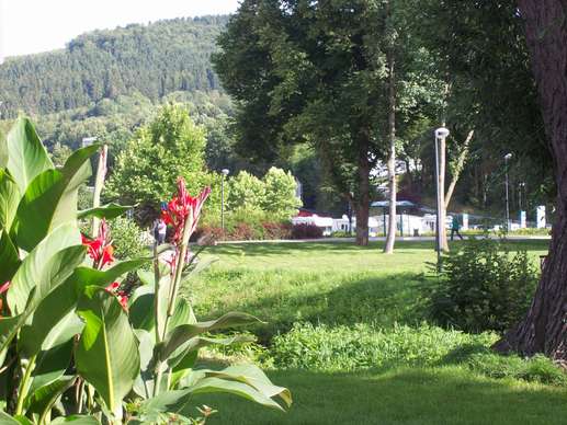Added a photo to a location