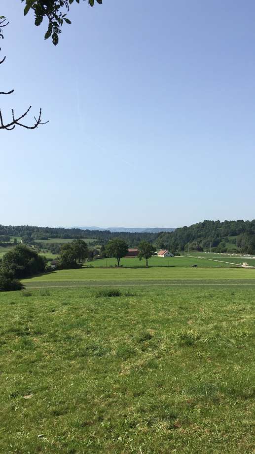 Een foto toegevoegd aan een locatie