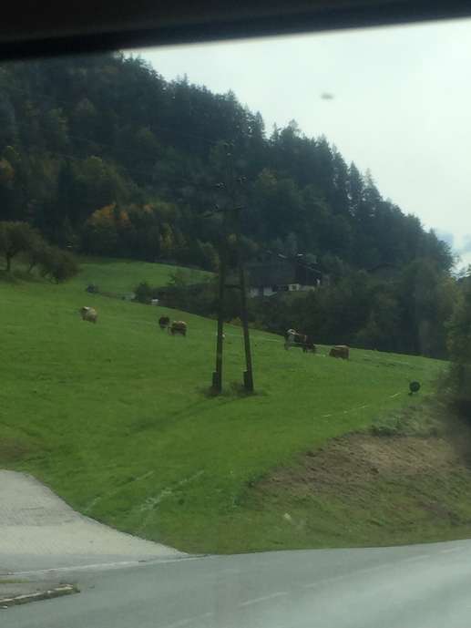 Einem Ort wurde ein Foto hinzugefügt