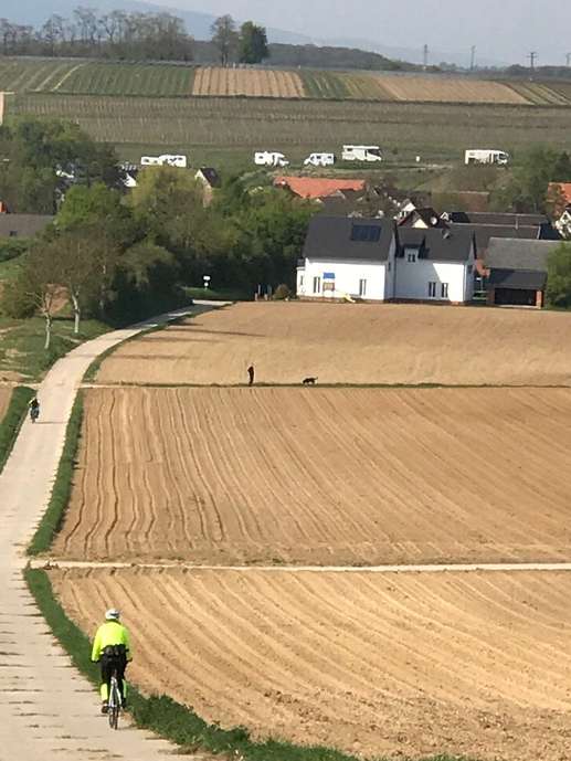 Aggiunta una foto a una posizione