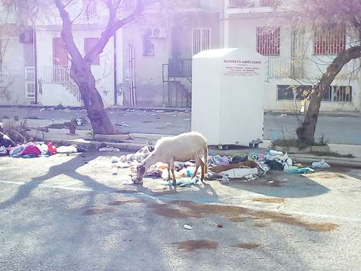 Aggiunta una foto a una posizione