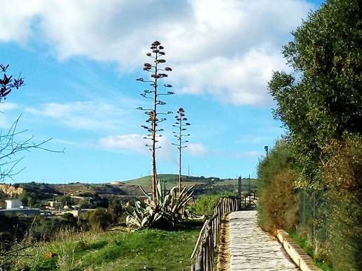 Aggiunta una foto a una posizione