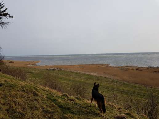 Added a photo to a location