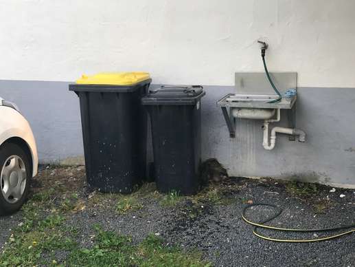Een foto toegevoegd aan een locatie