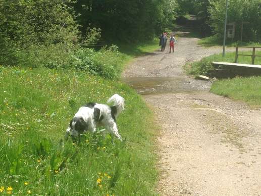 Added a photo to a location