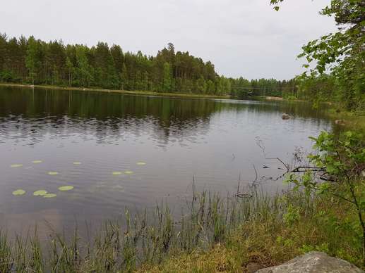 Added a photo to a location