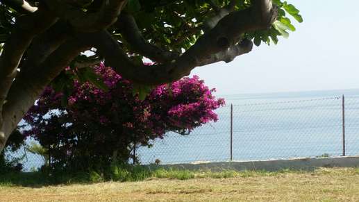 Added a photo to a location