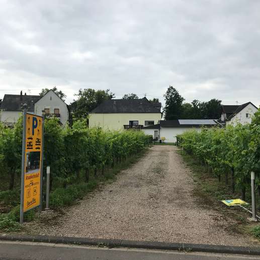 Een foto toegevoegd aan een locatie