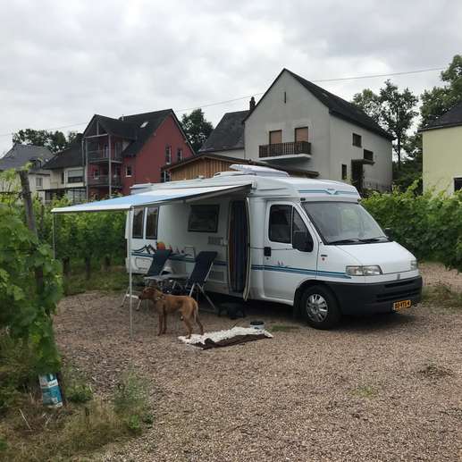 Een foto toegevoegd aan een locatie