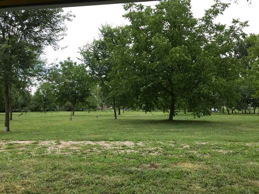 Added a photo to a location