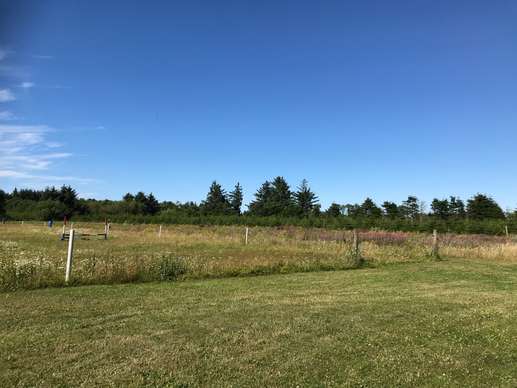 Added a photo to a location
