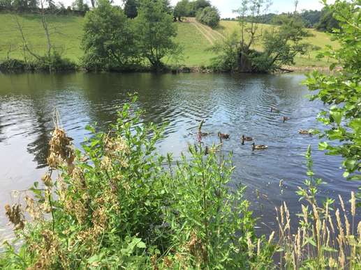 Added a photo to a location
