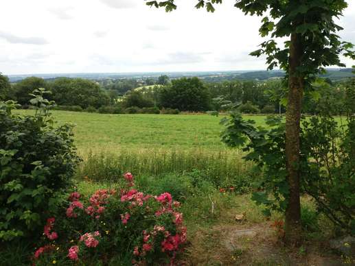 Added a photo to a location