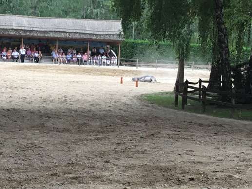 Einem Ort wurde ein Foto hinzugefügt