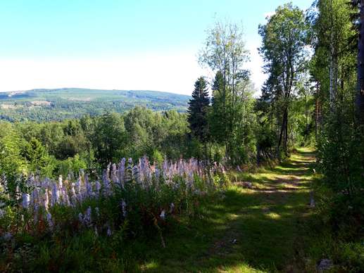 Added a photo to a location