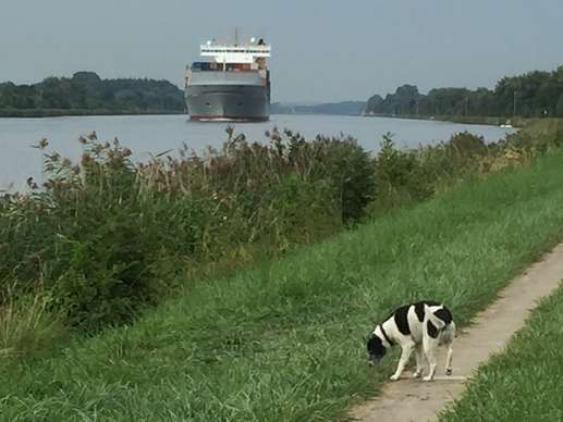 Een foto toegevoegd aan een locatie
