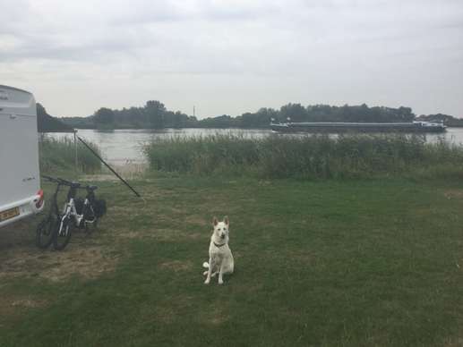 Een foto toegevoegd aan een locatie