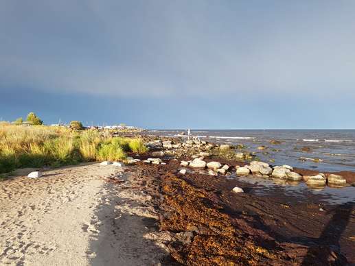 Added a photo to a location