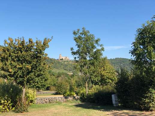 Added a photo to a location