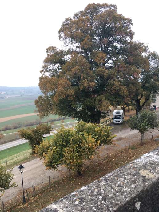 Een foto toegevoegd aan een locatie