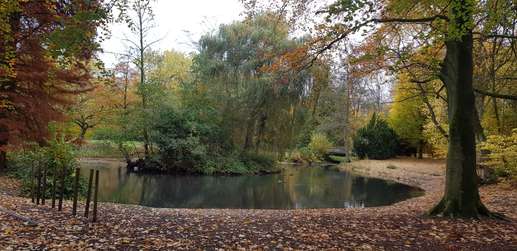Added a photo to a location