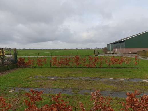 Een foto toegevoegd aan een locatie
