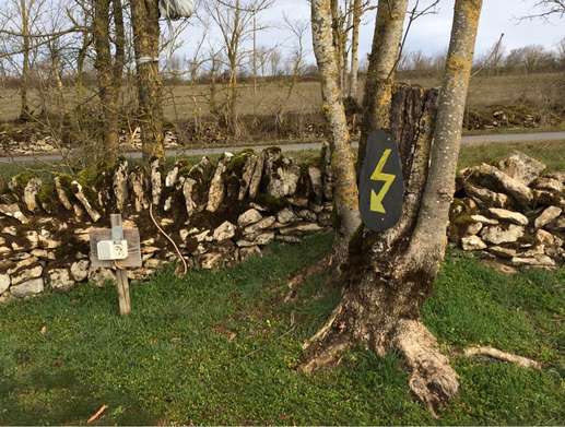 Een foto toegevoegd aan een locatie