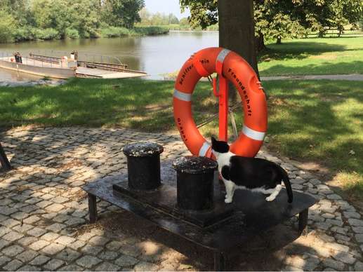 Einem Ort wurde ein Foto hinzugefügt