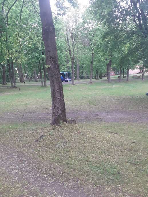 Added a photo to a location