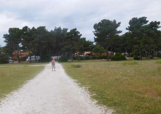 Ajout d'une photo à un emplacement