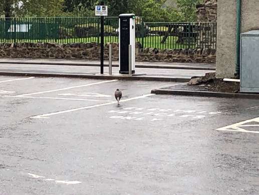Einem Ort wurde ein Foto hinzugefügt