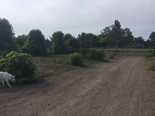 Een foto toegevoegd aan een locatie