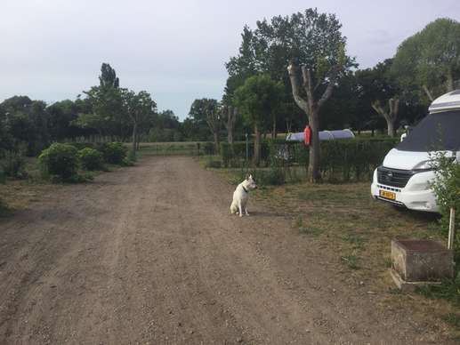 Een foto toegevoegd aan een locatie