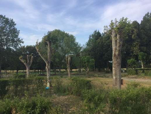 Een foto toegevoegd aan een locatie