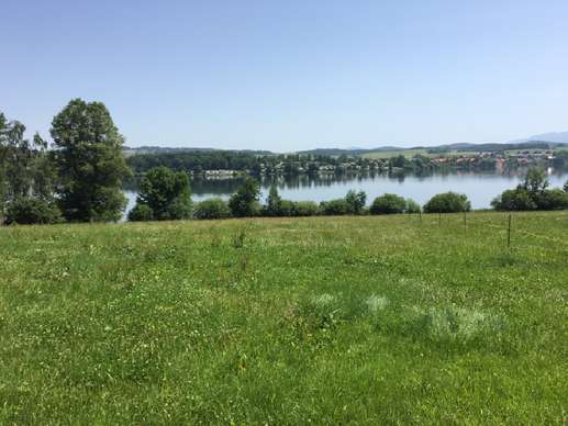 Added a photo to a location