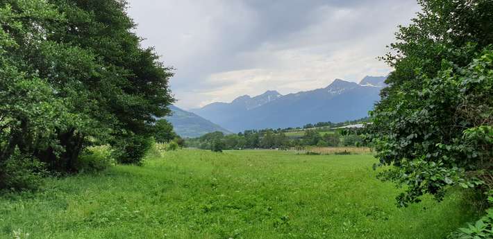 Camping im Park