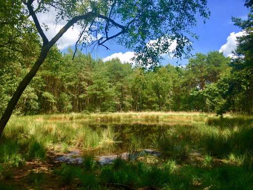 Added a photo to a location