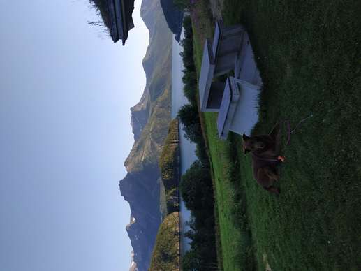 Added a photo to a location